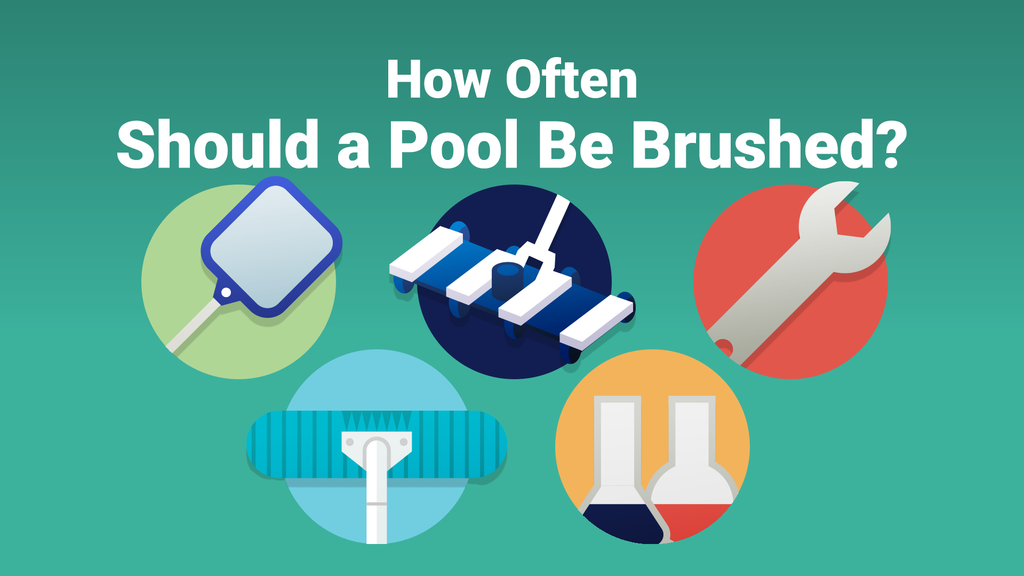 What Kind of Brush Should I Use for My Pool? – PoolPartsToGo