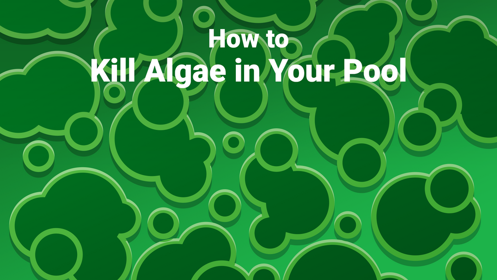 How to Kill Algae in Your Pool PoolPartsToGo