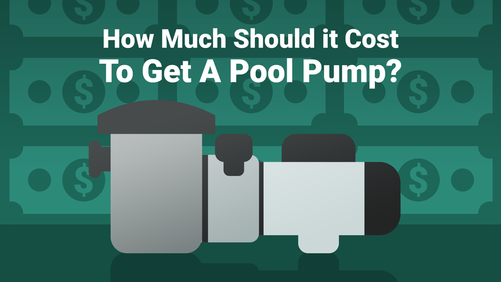 Korrekt Kondensere drikke How Much Should It Cost to Get a Pool Pump? – PoolPartsToGo