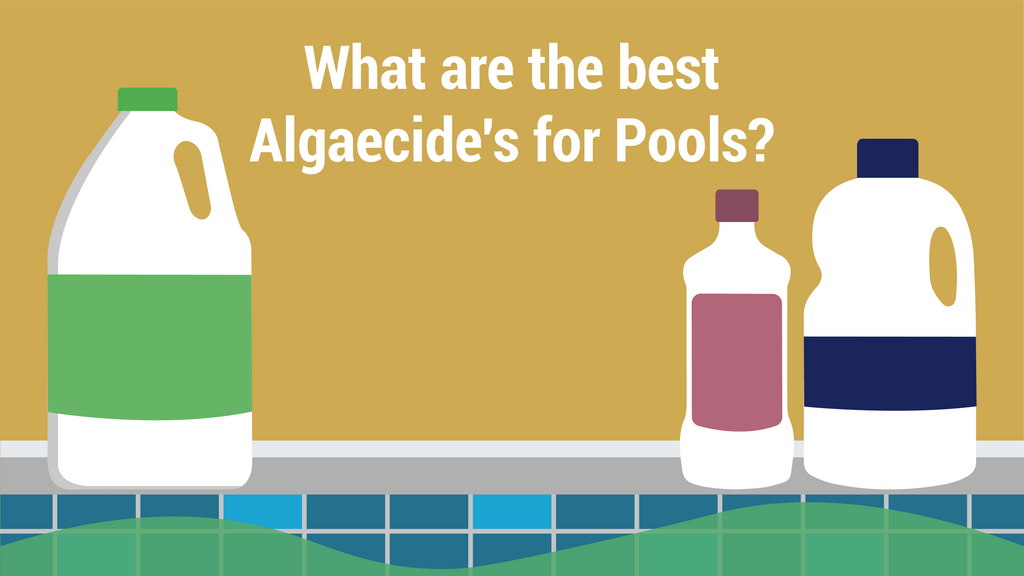 What are the best Algaecide's for Pools? PoolPartsToGo