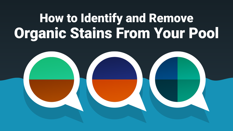 How to Identify and Remove Organic Stains From Your Pool