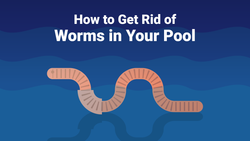 How to Get Rid of Worms in Your Pool—And Keep Them Out