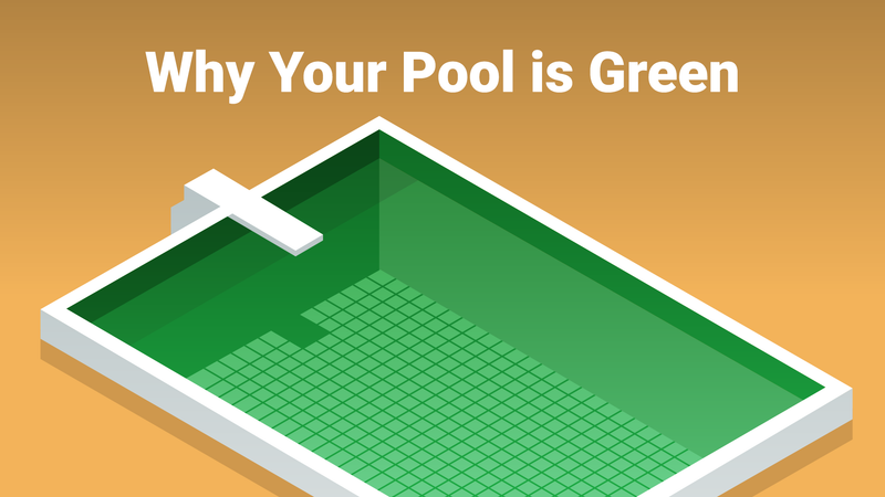 Why Your Pool Is Green and What to Do About It