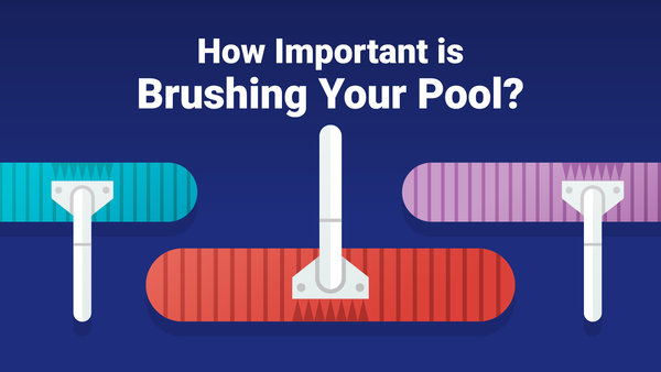 How Important is Brushing Your Pool?