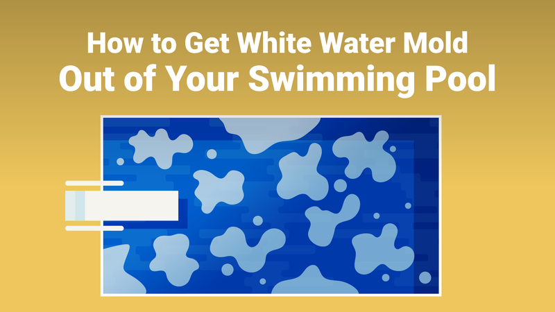 How to Get White Water Mold Out of Your Swimming Pool