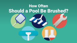 How Often Should a Pool Be Brushed?