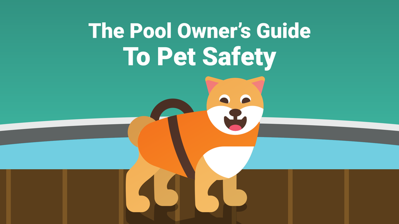 The Pool Owner’s Guide to Pet Safety