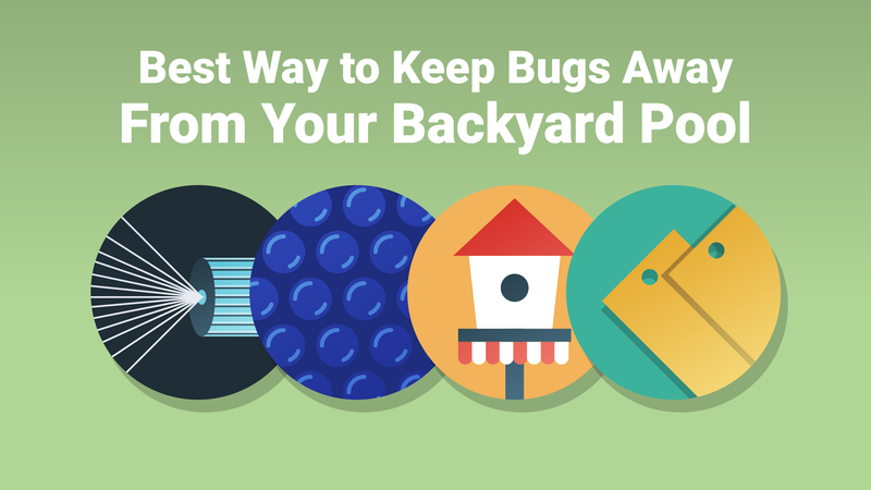 Best Way to Keep Bugs Away From Your Backyard Pool