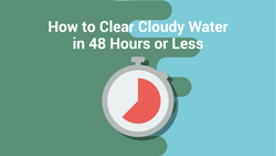 How to Clear Cloudy Water in 48 Hours or Less