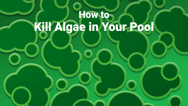 How to Kill Algae in Your Pool