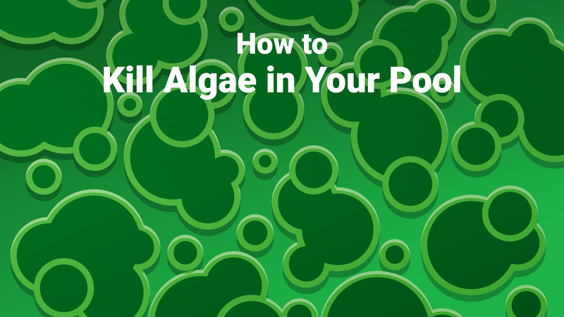 Kill Pool How to Kill Algae in Your Pool – PoolPartsToGo