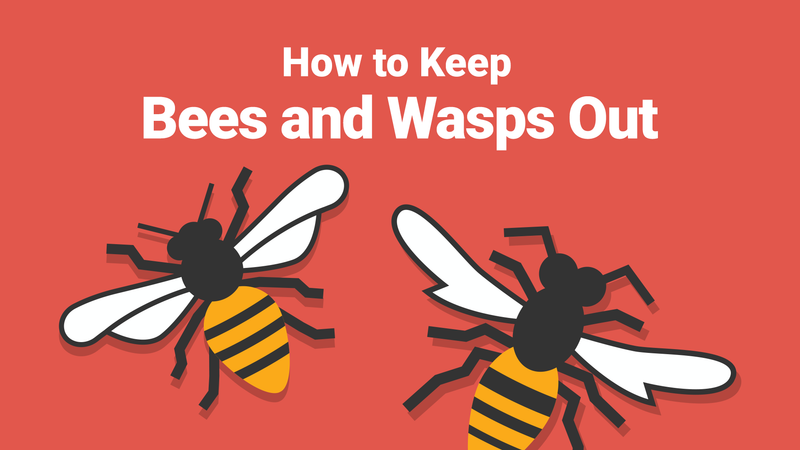 How to Keep Bees and Wasps Out of Your Pool