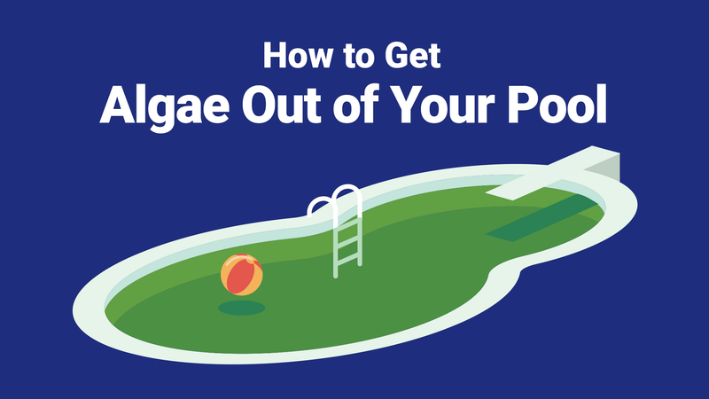 How to Get Algae Out of Your Pool—The Right Way