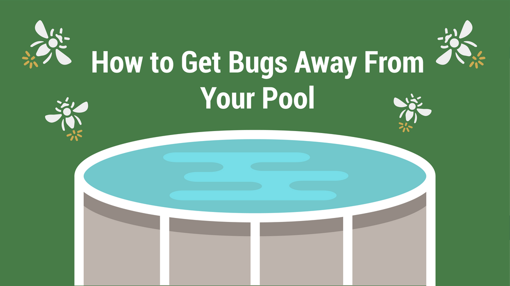 How to Get Bugs Away From Your Pool PoolPartsToGo