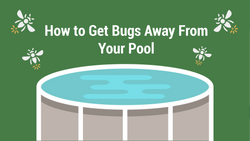 How to Get Bugs Away From Your Pool