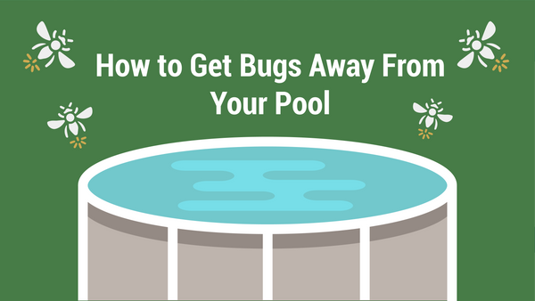 How to Get Bugs Away From Your Pool