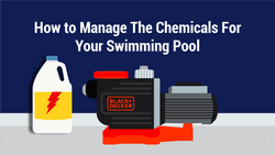 How to Manage The Chemicals For Your Swimming Pool