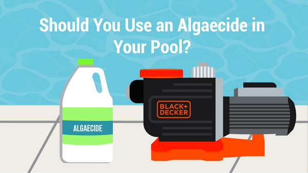 Should You Use an Algaecide in Your Pool?