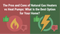 The Pros and Cons of Natural Gas Heaters vs Heat Pumps: What Is the Best Option for Your Home?