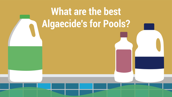 What are the best Algaecide's for Pools?