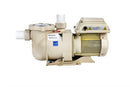 Pentair SuperFlo VST Variable Speed Pool Pump